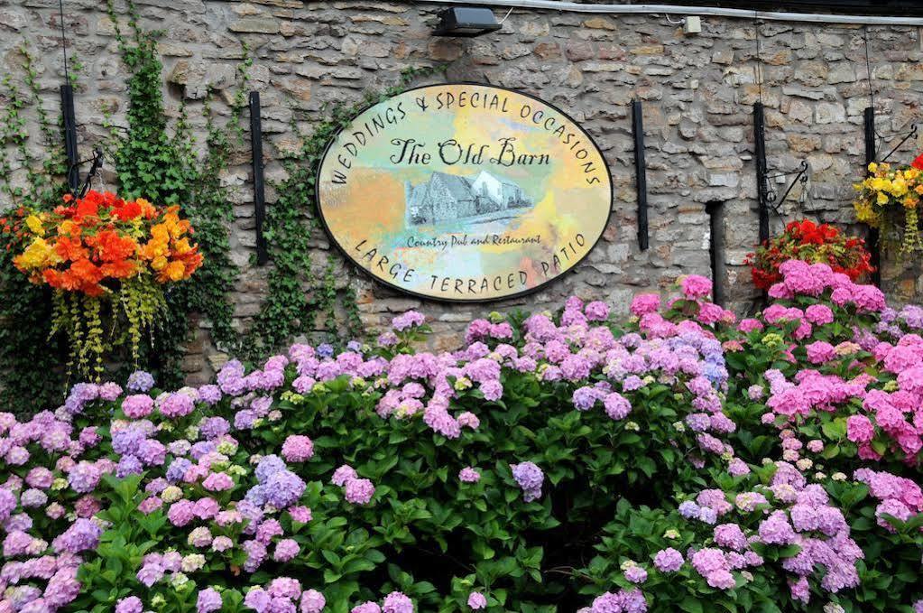 The Old Barn Inn นิวพอร์ต ภายนอก รูปภาพ